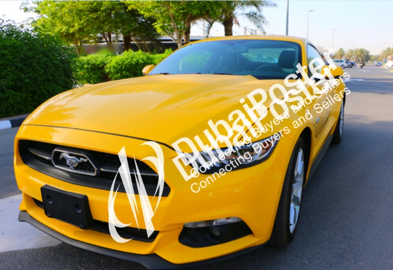 2015 Ford Mustang 5.0