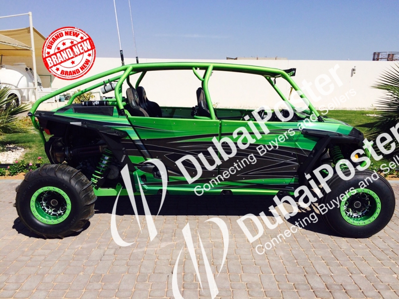 2015 Buggy ADLY