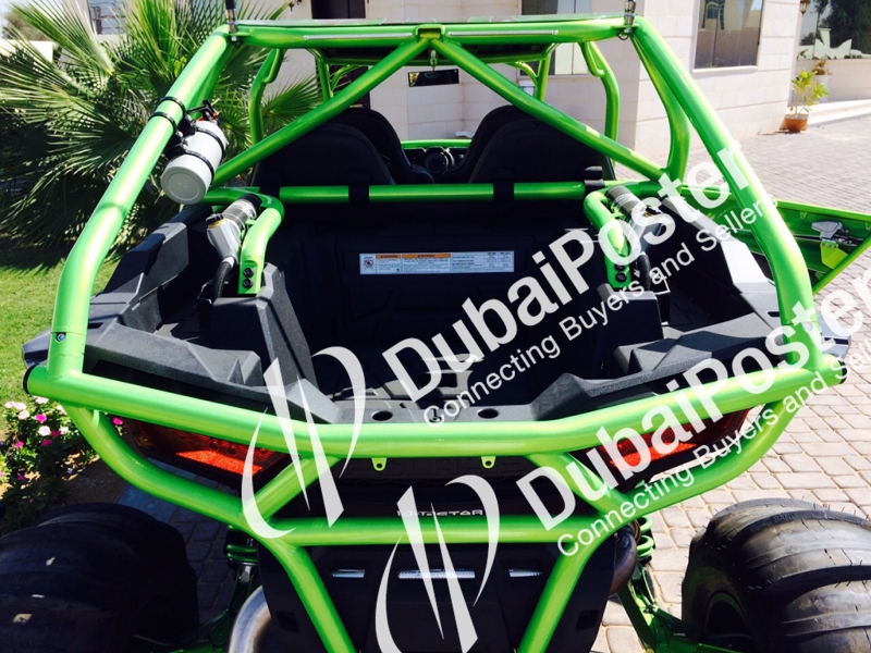 2015 Buggy ADLY
