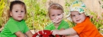 Home Grown Children's Eco Nursery - Al Safa 2